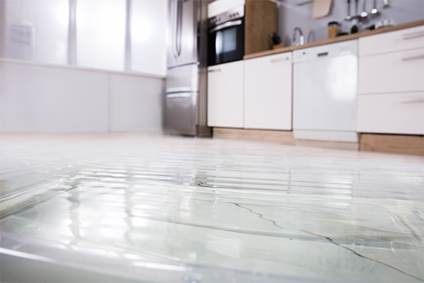 water damage services tampa