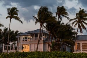 palm trees in heavy winds as a major storm or hurricane approaches a florida home