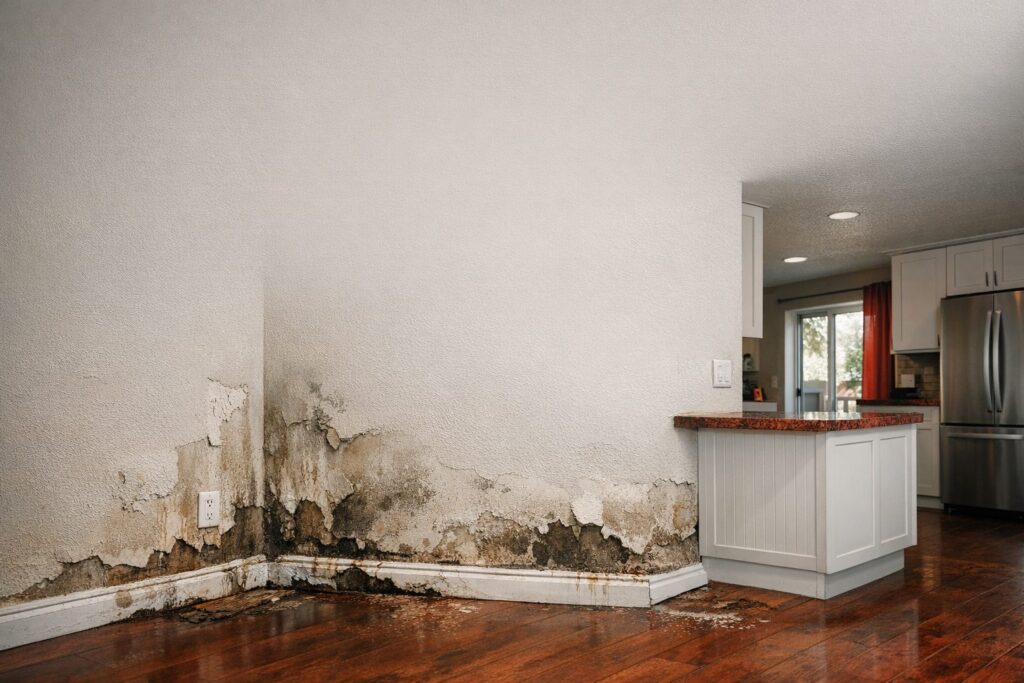 WrightWay Emergency Services — Commercial Water Damage & Business Continuity Planning