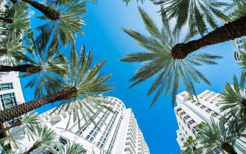 WrightWay Emergency Services — Infrared Leak Detection for Florida Condo Associations