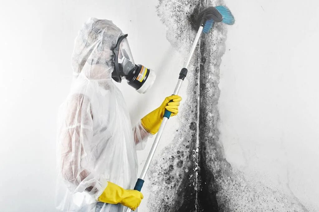 WrightWay Emergency Services — Mold Remediation Myths Debunked: What Every Homeowner Should Know