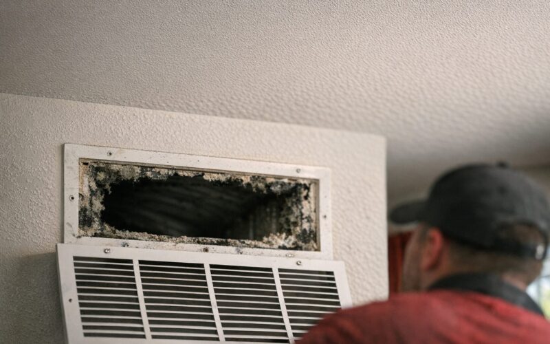 How Mold Spreads Through Your HVAC System and How to Stop It